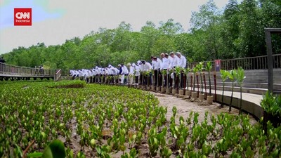img-title VIDEO: Pemimpin Dunia Antusias Tanam Pohon Bakau di KTT G20 Bali