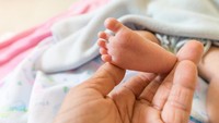 Terpopuler: Perbedaan Stunting, Wasting, Underweight - Potret Nisya Ahmad & Suami