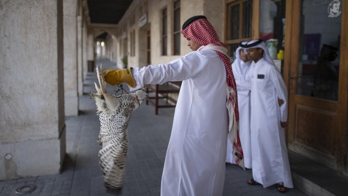 FOTO: Mengagumi Elang di Falcon Souq, Hewan Terhormat di Qatar