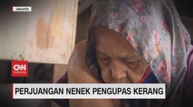 VIDEO: Perjuangan Nenek Pengupas Kerang