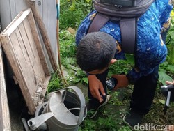 Demam Berdarah di Klaten Tahun Ini Naik Tajam, Ada 23 Kasus Meninggal