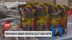VIDEO: Renyahnya Bisnis Kerupuk Ikan Patin