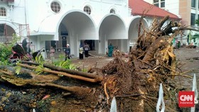 Cuaca Ekstrem, 2 Pekerja Bangunan di PN Makassar Tertimpa Pohon