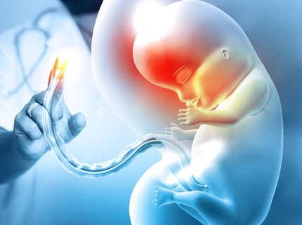 7 Tanda Janin Kekurangan Oksigen yang Ibu Hamil Perlu Pahami