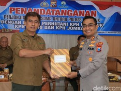 Perhutani Gandeng Polisi Cegah Ilegal Logging di Nganjuk