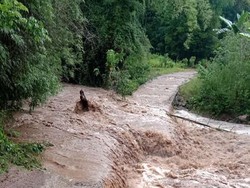 Jembatan di Amfoang NTT Jebol, Warga Hadiri Nikah Massal Sempat Terjebak