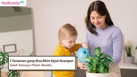 7 Tanaman yang Bisa Bikin Sejuk Ruangan, Salah Satunya Palem Bambu