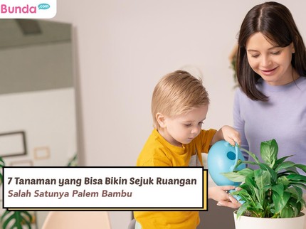 7 Tanaman yang Bisa Bikin Sejuk Ruangan, Salah Satunya Palem Bambu