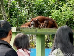 Taman Rekreasi Margasatwa Serulingmas: Harga, Lokasi, Daya Tarik-Wahana