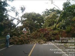 Jalan Nasional Rusak hingga Tanah Longsor Akibat Gempa Cianjur