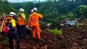 BNPB: Pengungsian Gempa Cianjur Sudah Didirikan, 47 Tenda Dikirim