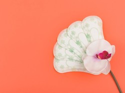 Sering Keluar Flek Coklat di Luar Siklus Menstruasi, Apa Penyebabnya Dok?
