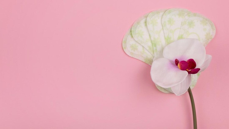 Ilustrasi panty liner atau keputihan Ilustrasi panty liner atau keputihan