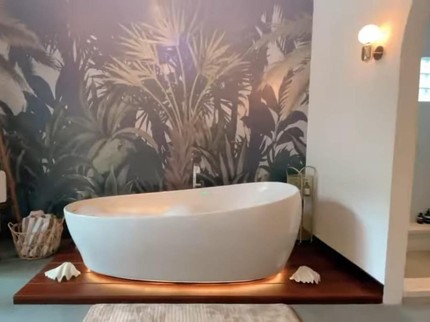 5 Potret Bathtub Mewah di Kamar Mandi Rumah Artis, Ada Bernuansa Alam