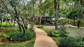 Urban Forest Cipete, Spot Healing Baru Anak Jaksel