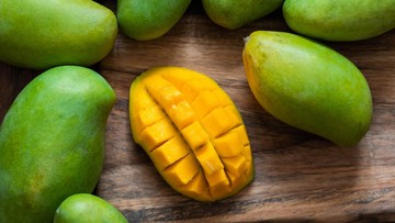 JENIS MANGGA PALING MAHAL DI DUNIA
