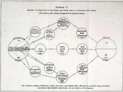 5 Contoh Flowchart Sederhana yang Sering Digunakan