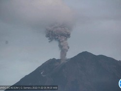 Gunung Semeru Erupsi, Lontarkan Abu 600 Meter dari Puncak Kawah