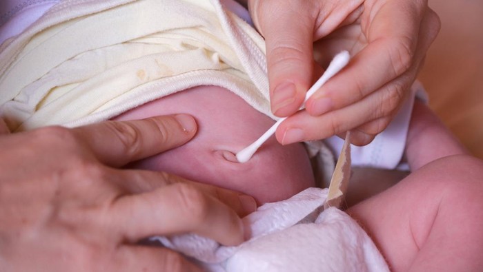 Abdomen, Adult, Applying, Baby - Human Age, Cotton swab