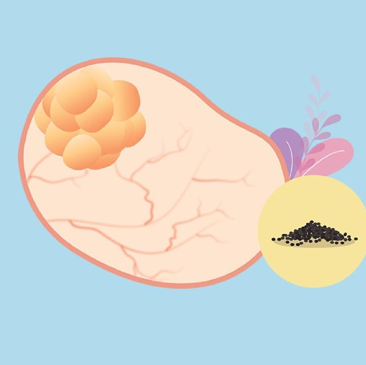 <p>Pada usia kehamilan ini, janin sudah mulai berkembang. Sel telur yang dibuahi tumbuh dari zigot menjadi sel yang disebut blastokista. Berat janin di usia ini sekitar 0,1 gram (gr) dengan pajang sekitar 0,1 sampai 0,2 milimeter (mm). (Foto: HaiBunda)</p>