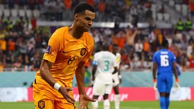 Profil Cody Gakpo, Permata Belanda Buruan Klub Top Eropa