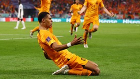 Hasil Piala Dunia 2022: Belanda Hajar Senegal