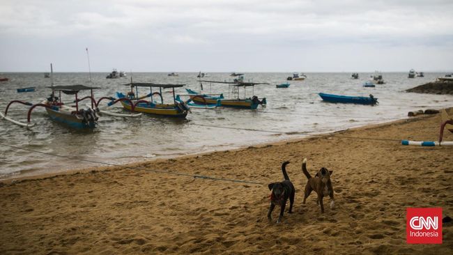 Bali, yang dinobatkan sebagai pulau terindah di Asia, baru-baru ini mengeluarkan peringatan rabies kepada para turis setelah muncul kasus di Kabupaten Buleleng.