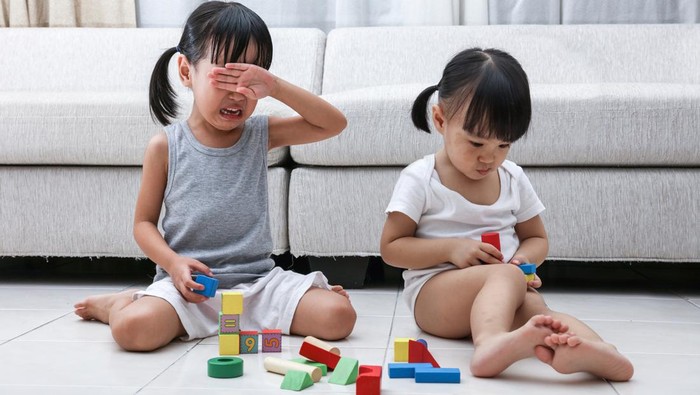 Asian Chinese little sisters struggle for blocks on the floor in the living room at home.