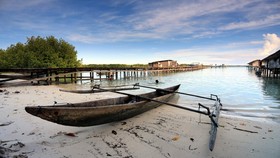 Kepulauan Widi Dilelang, Pemerintah Dianggap Langgar UUD 1945