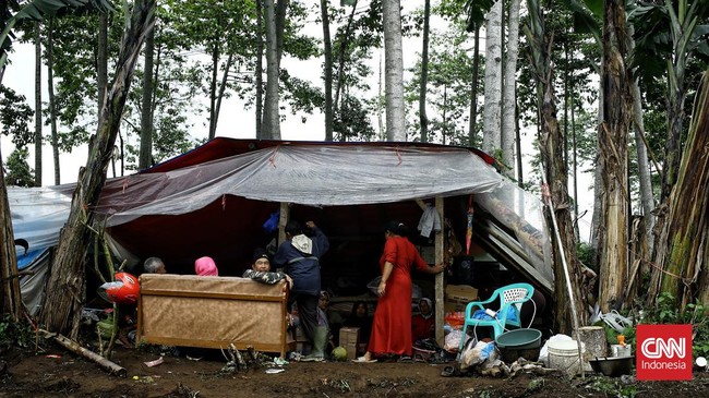 Pemerintah Kabupaten Cianjur menyatakan ada 59.902 perempuan yang mengungsi. 1.640 di antaranya merupakan ibu hamil.