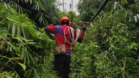 Pulihkan Aset Terdampak Gempa, PLN Pastikan Kelistrikan Kembali Normal