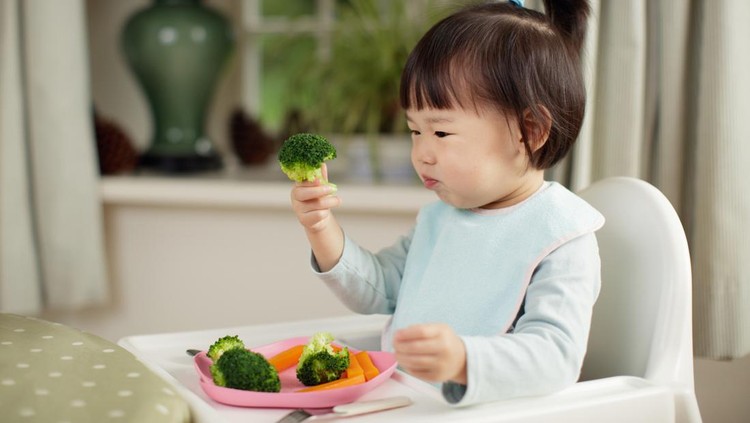 toddler girl eating  healthy  vegetable sitting on high chair beside a dinner table at home