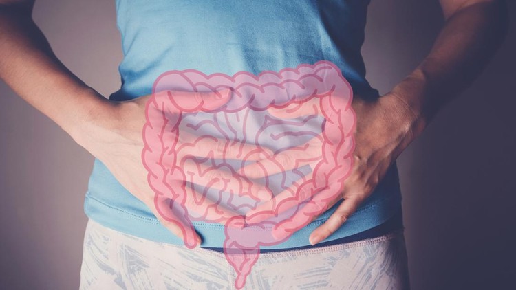Ilustrasi Peran Usus dalam Tubuh woman hands on her stomach with intesline, probiotics food for gut health, colon cancer, bowel inflammatory concept