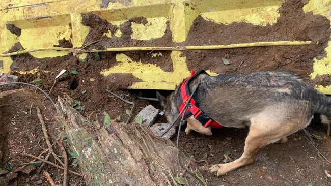 Kadiv Humas Polri mengatakan salah satu Satwa K9 Ari berhasil menemumkan satu titik sumber bau yang diperkirakan terdapat korban gempa Cianjur.