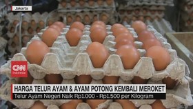 VIDEO: Harga Telur Ayam dan Ayam Potong Kembali Meroket