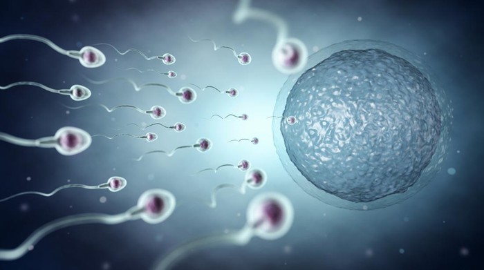 Ilustrasi Sperma