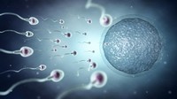 Produksi Sperma Menurun hingga 62 Persen dari Tahun ke Tahun, Ini Penyebabnya