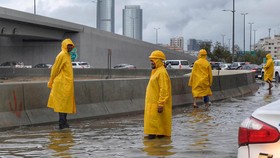 Festival Film Laut Merah Dibatalkan buntut Hujan Lebat di Saudi