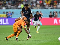 Klasemen Grup A Piala Dunia 2022: Belanda & Ekuador Teratas, Qatar Out