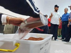 Permintaan Beras Organik Banyuwangi Capai Sedikitnya 250 Ton Per Bulan