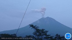 Inikah Tanda Jepang Waspada Tsunami Saat Semeru Erupsi?