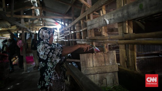 FOTO: Korban Gempa Cianjur Mengungsi di Kandang Ternak