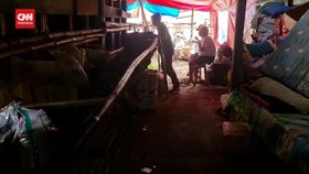 VIDEO: Kisah 50 Pengungsi Gempa Cianjur Huni Kandang Kambing