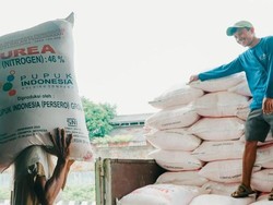 Pupuk Indonesia Kucurkan Rp 116 T buat Revitalisasi-Bangun Pabrik