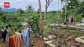 VIDEO: Ratusan Korban Gempa Cianjur Mengungsi di Kuburan