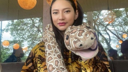 Detik Network