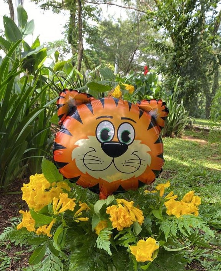 Nadia Saphira sedang mengandung anak pertamanya nih Bunda, acara baby shower-nya bertemakan harimau lho, unik banget ya! Intip potretnya di sini yuk.