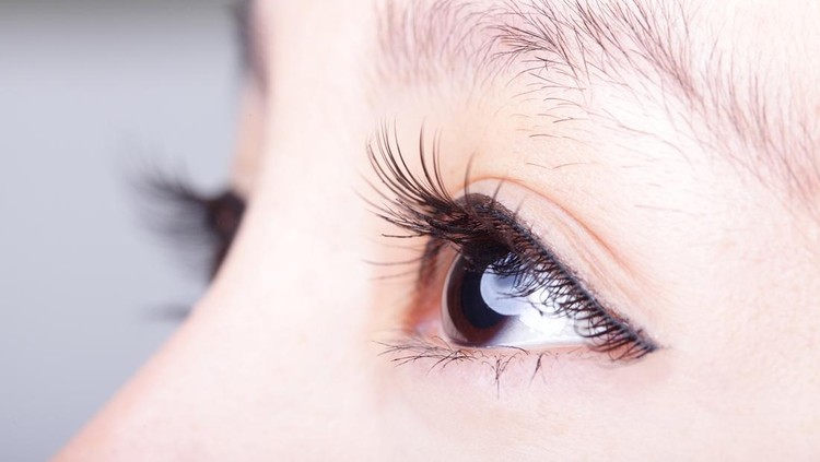 Beautiful woman eye with long eyelashes. asian model