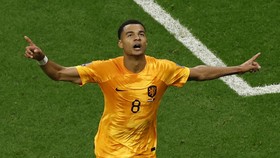 img-title Van Dijk Sarankan Gakpo ke Real Madrid, Fan MU Ngamuk