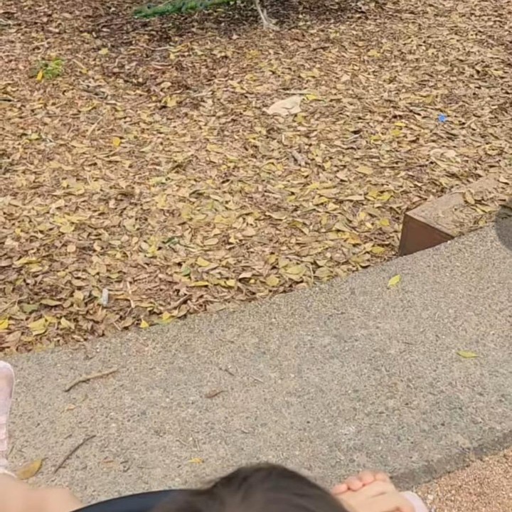 <p>Melalui Insta Story, Hamish juga menunjukkan putrinya, Zalina. Sepertinya, Hamish dan Raisa mengisi waktu kebersamaan mereka dengan melihat sejumlah hewan, seperti merak, Bunda. (Foto: Instagram @hamishdw)<br /><br /><br /></p>